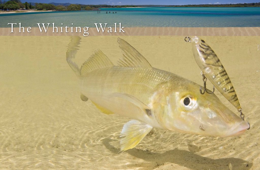 The Whiting Walk