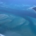 South Passage Bar 1 June 2024