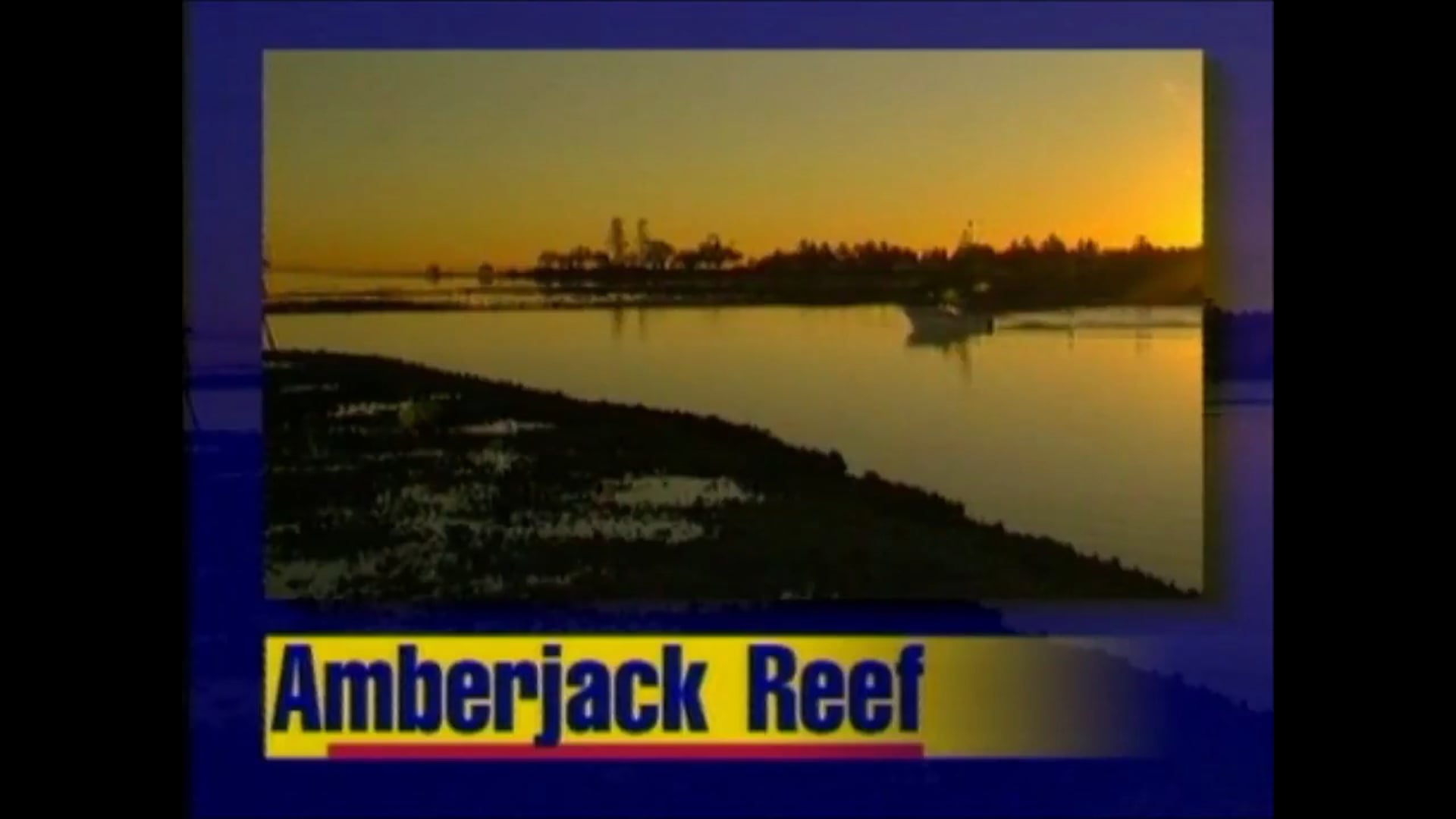 Amberjack Reef off Moreton Is. – John Palermo