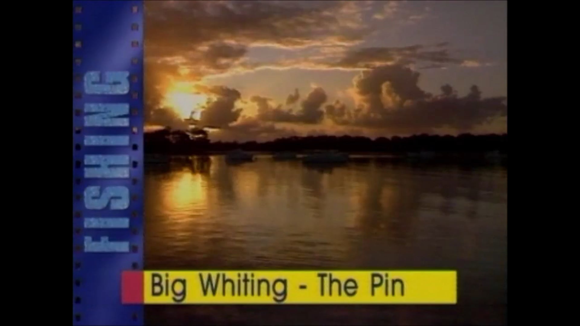Big Whiting – The Pin