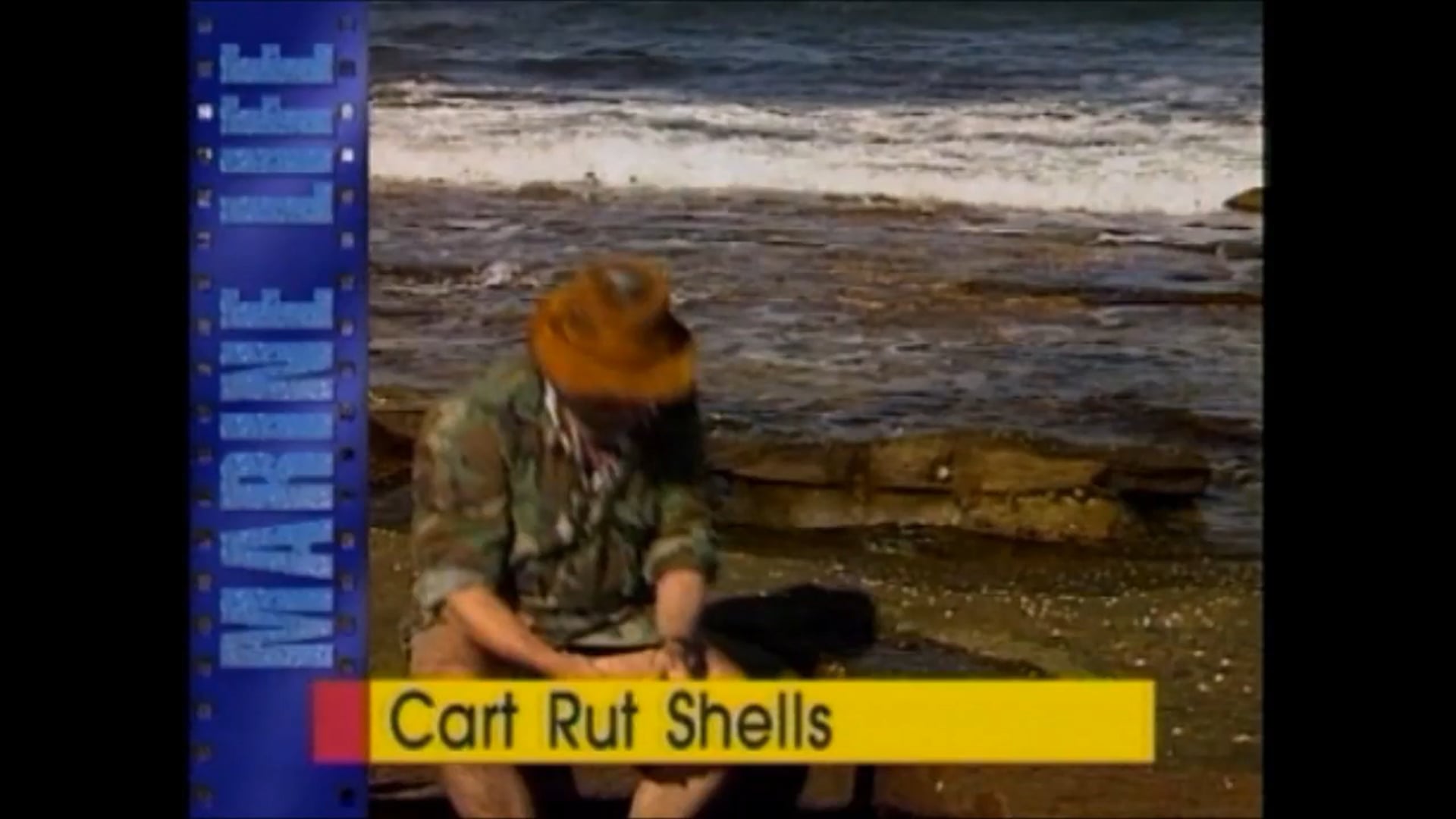 Cart Rut Shells