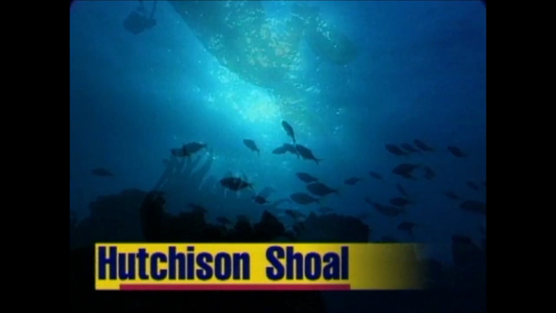 Diving Hutchison Shoal