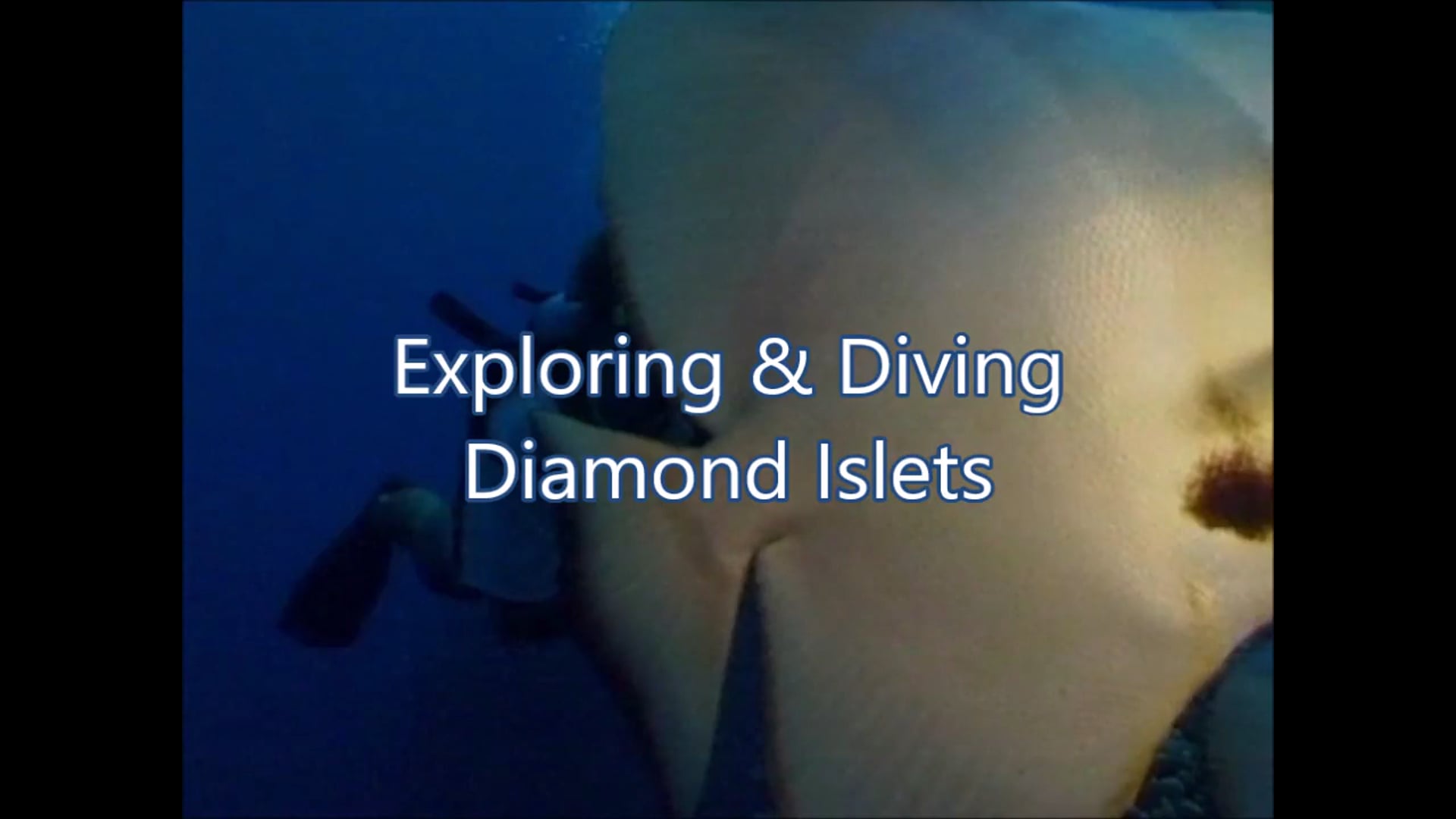 Exploring & Diving Diamond Islets