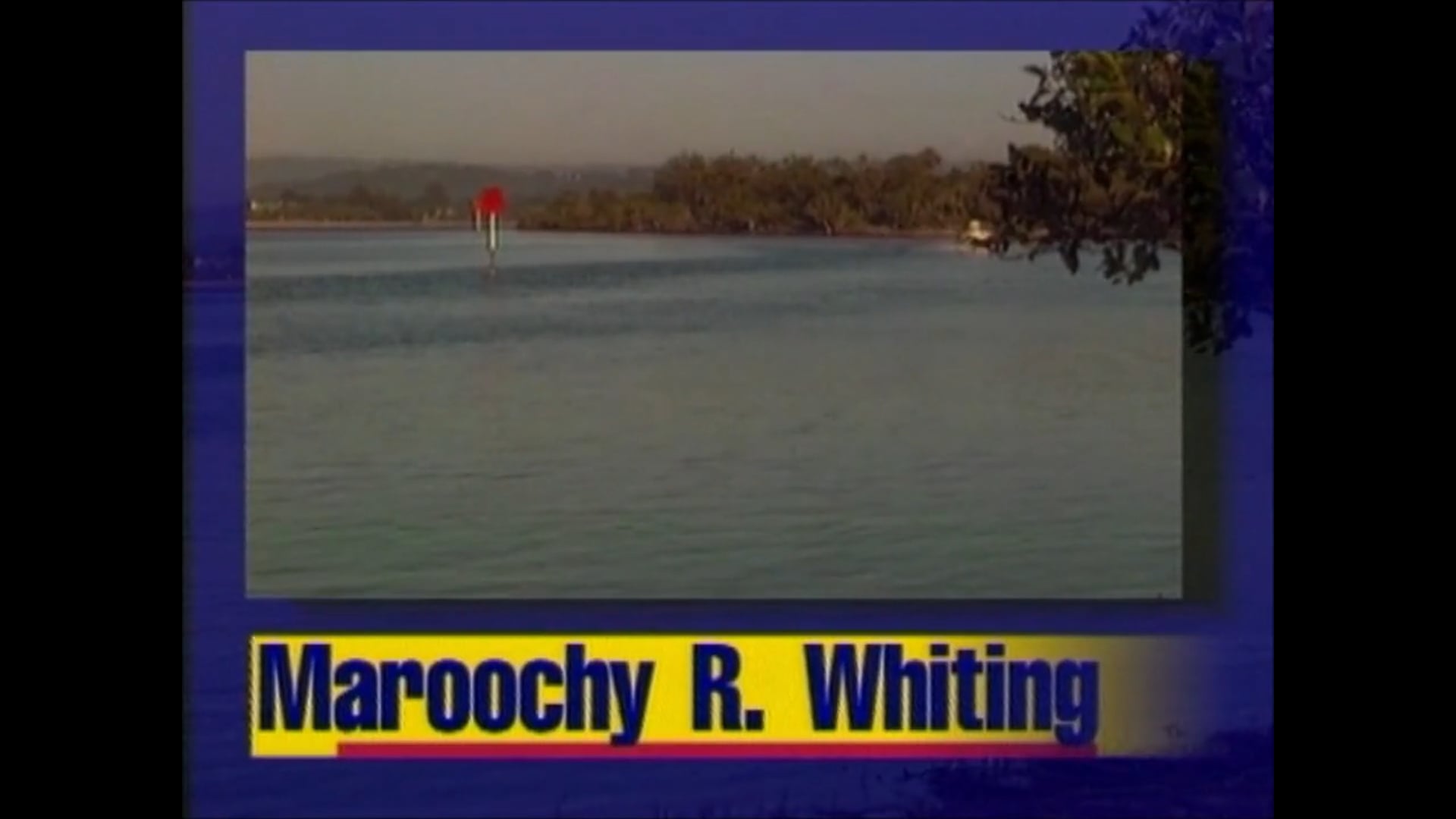 Maroochy River Whiting – Martin Cowling