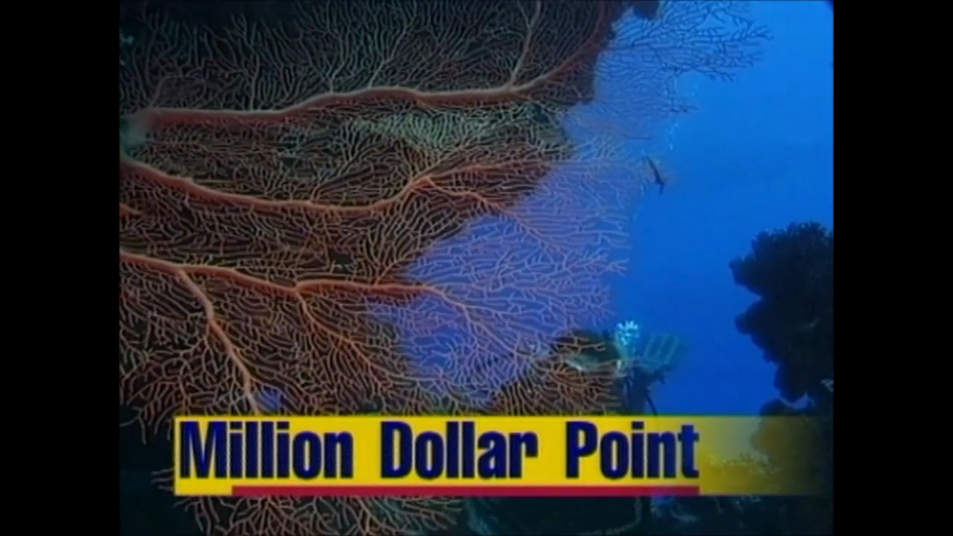 Million Dollar Point Vanuatu