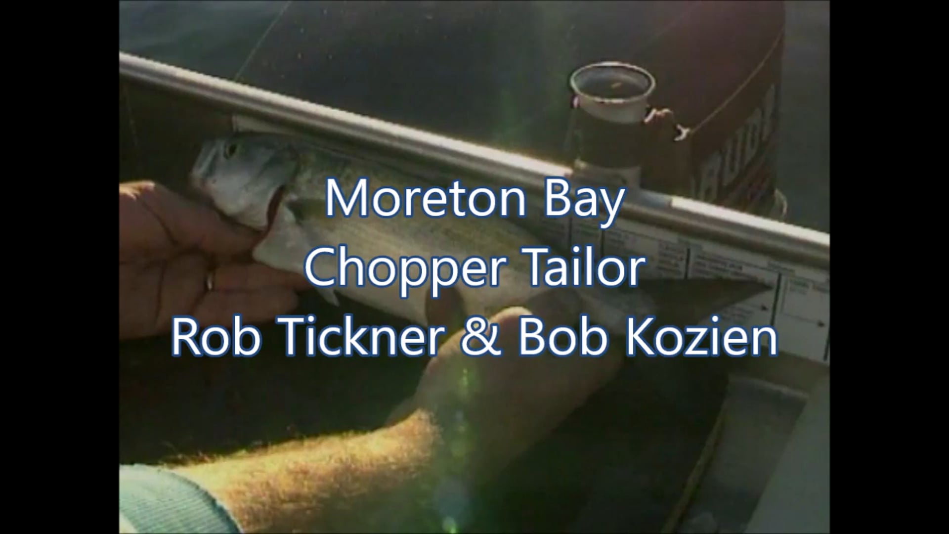 Moreton Bay Chopper Tailor