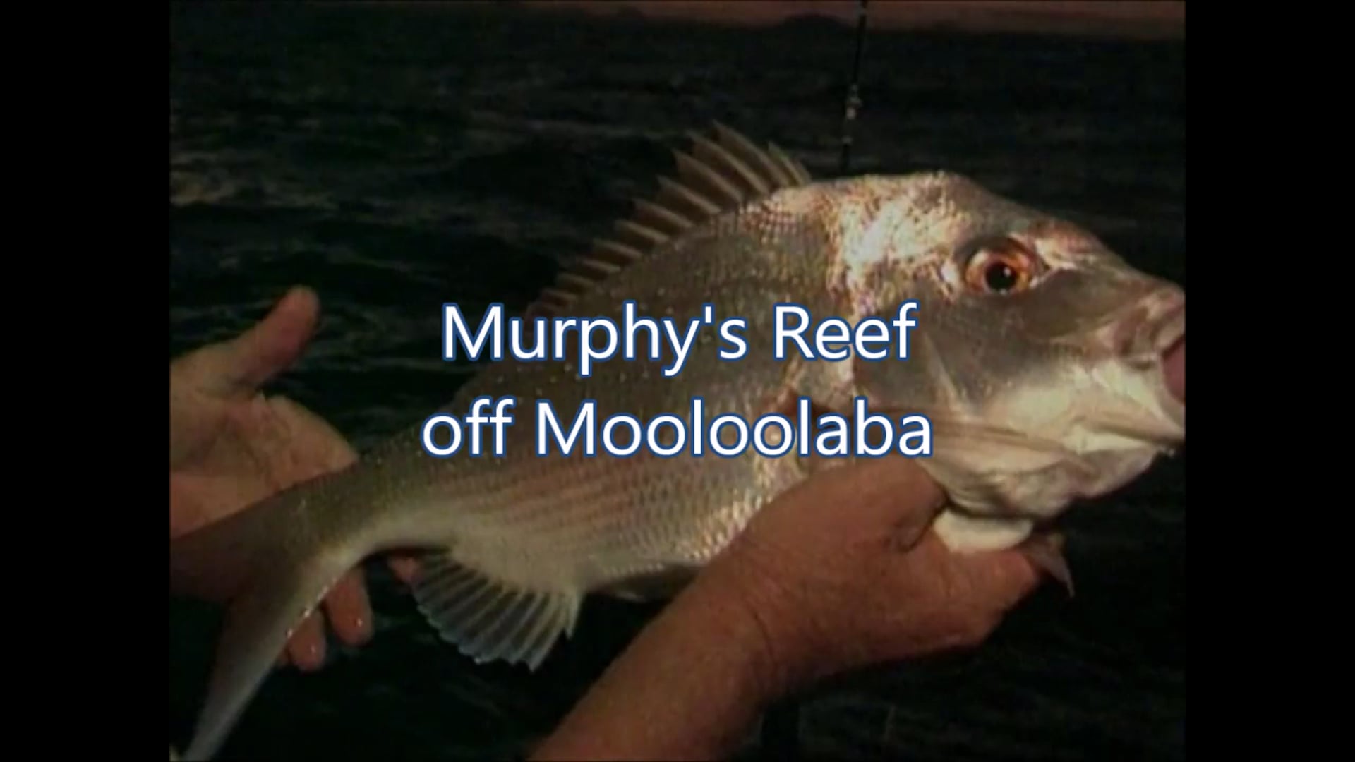 Murphy’s Reef