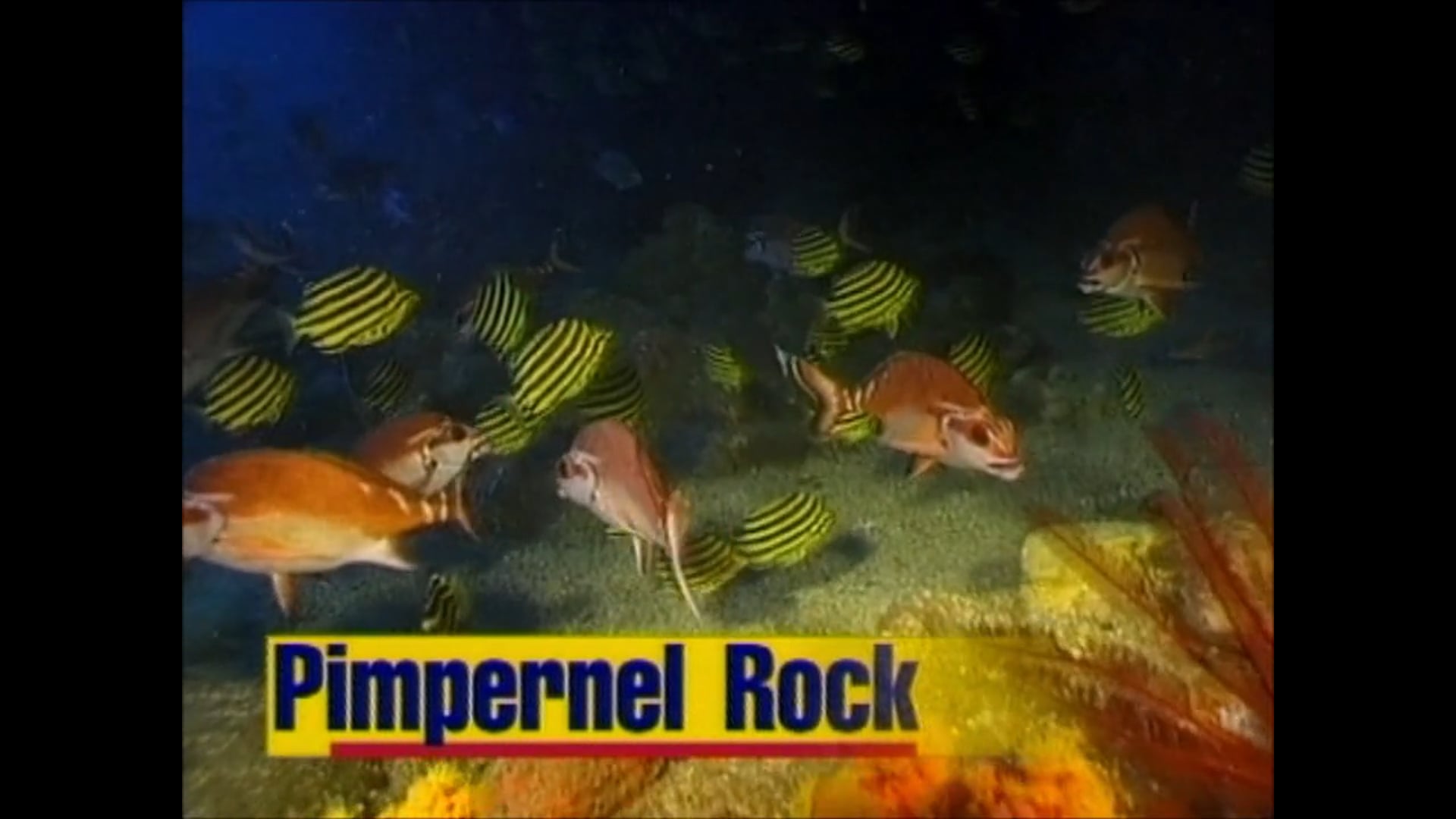 Pimpernel Rock – Brooms Head