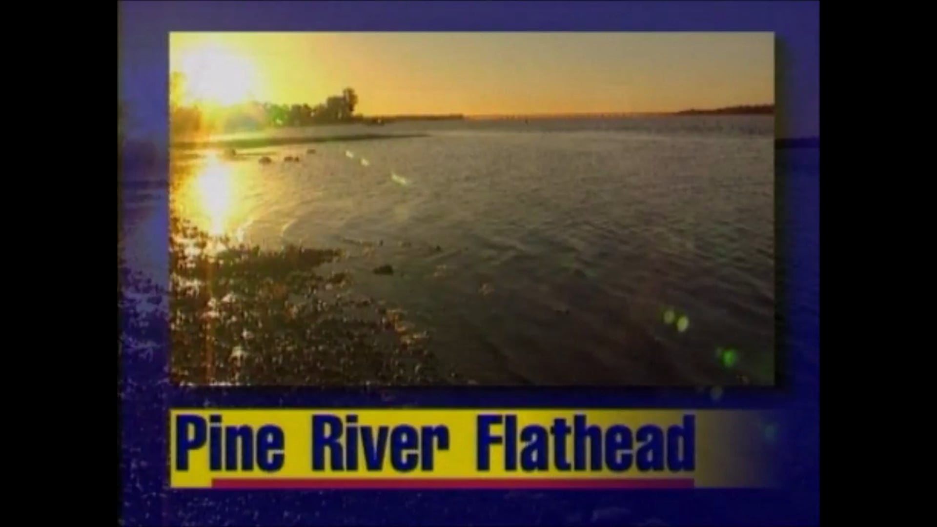 Pine River Flathead – Martin Cowling