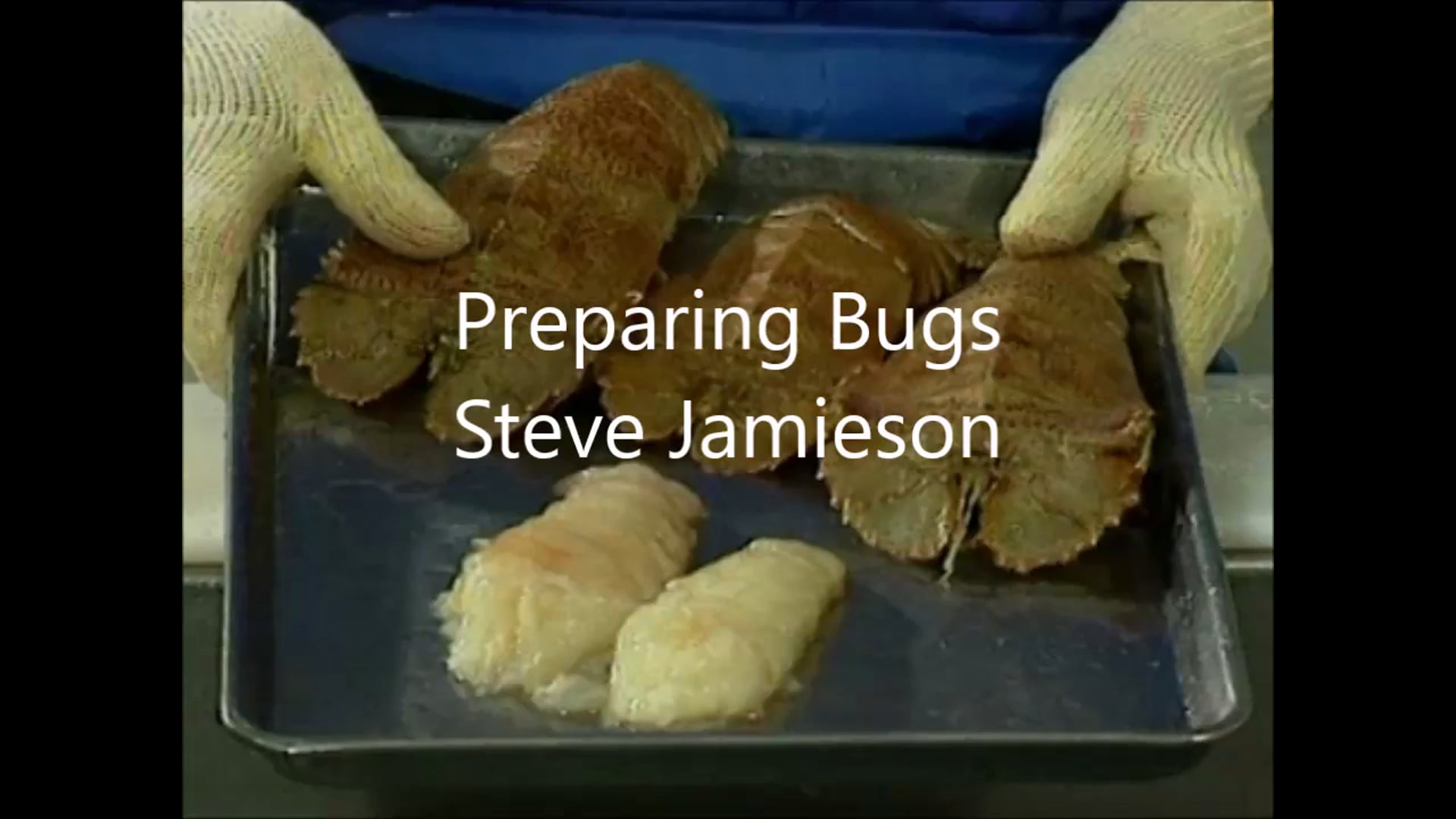 Preparing Bugs – Steve Jamieson