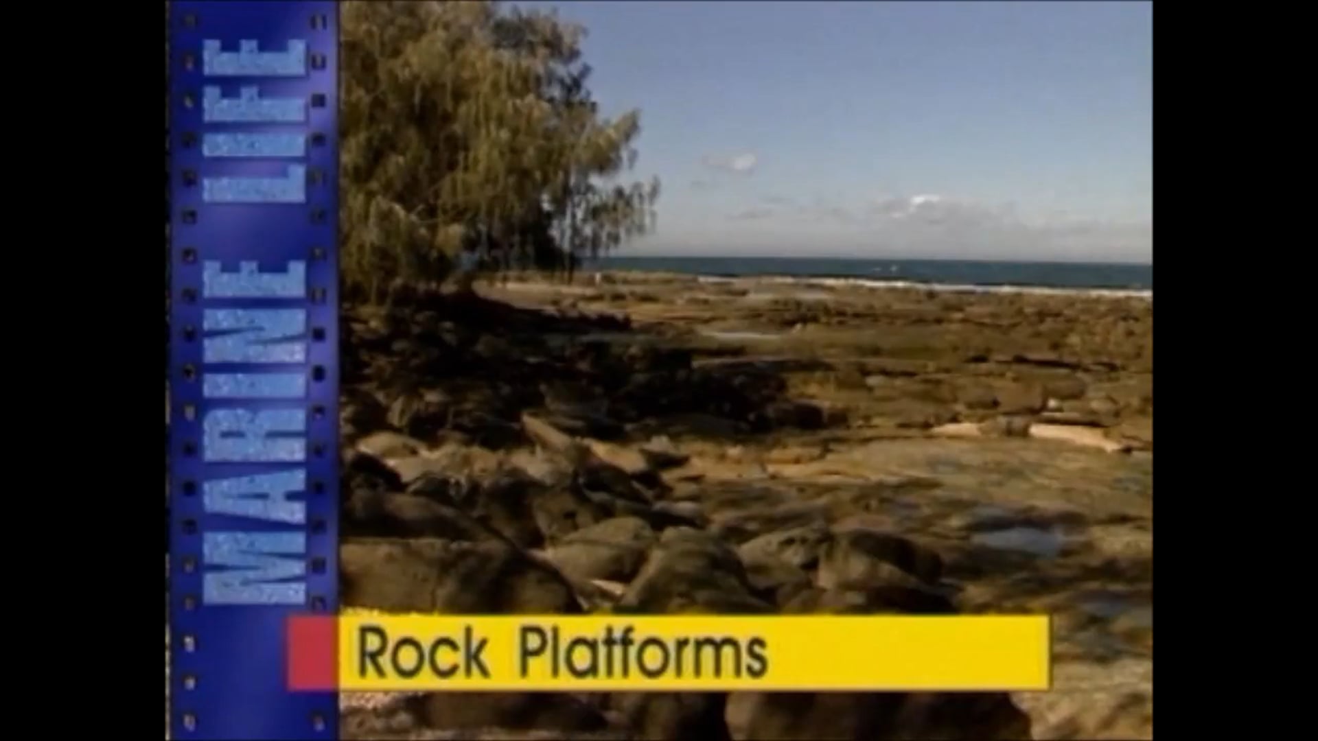 Rock Platforms