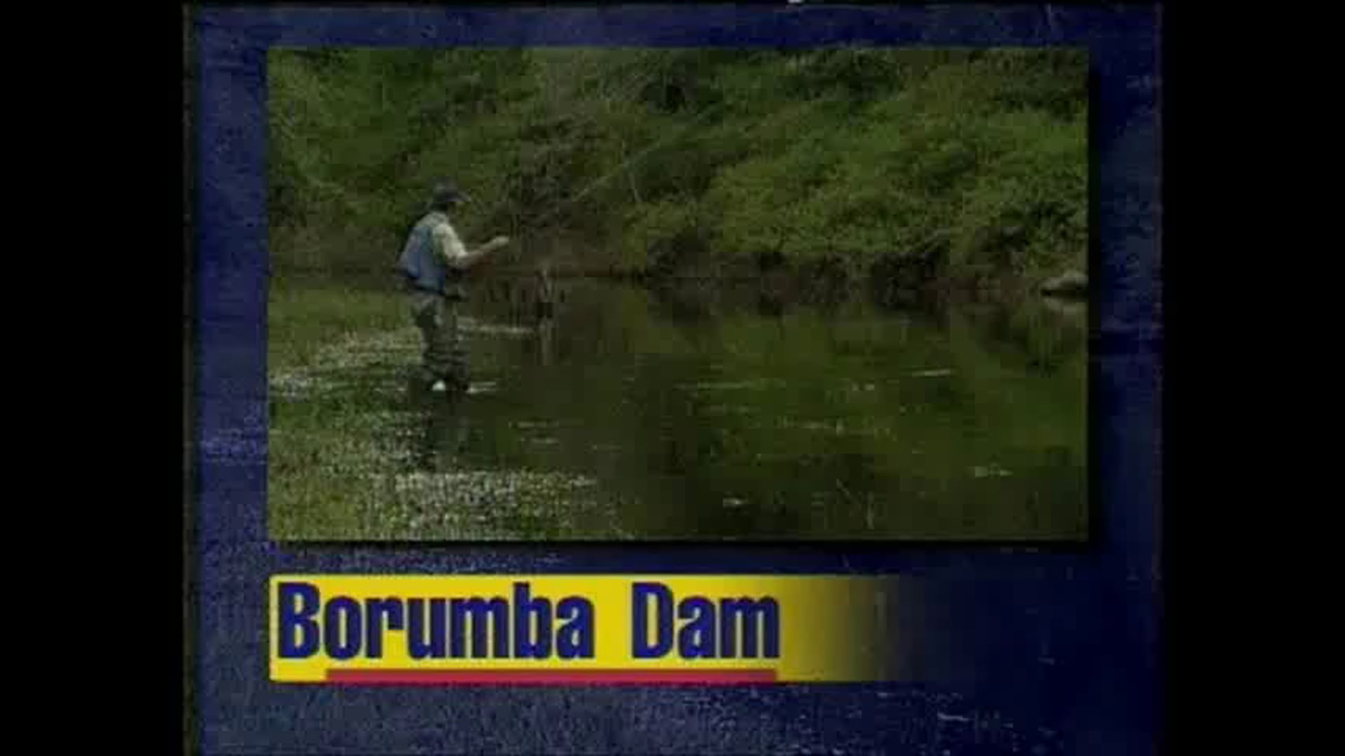 Saratoga in Borumba Dam-John Rowe