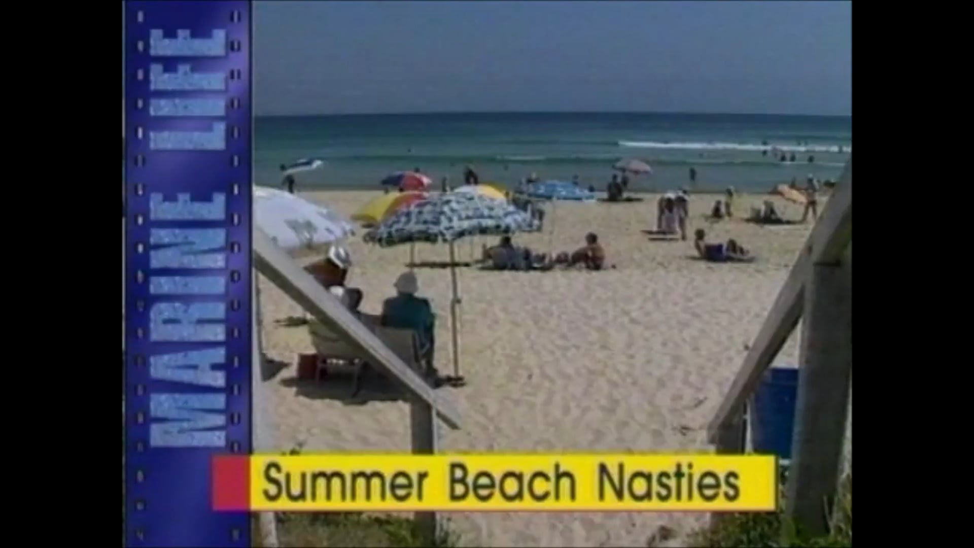 Summer Beach Nasties