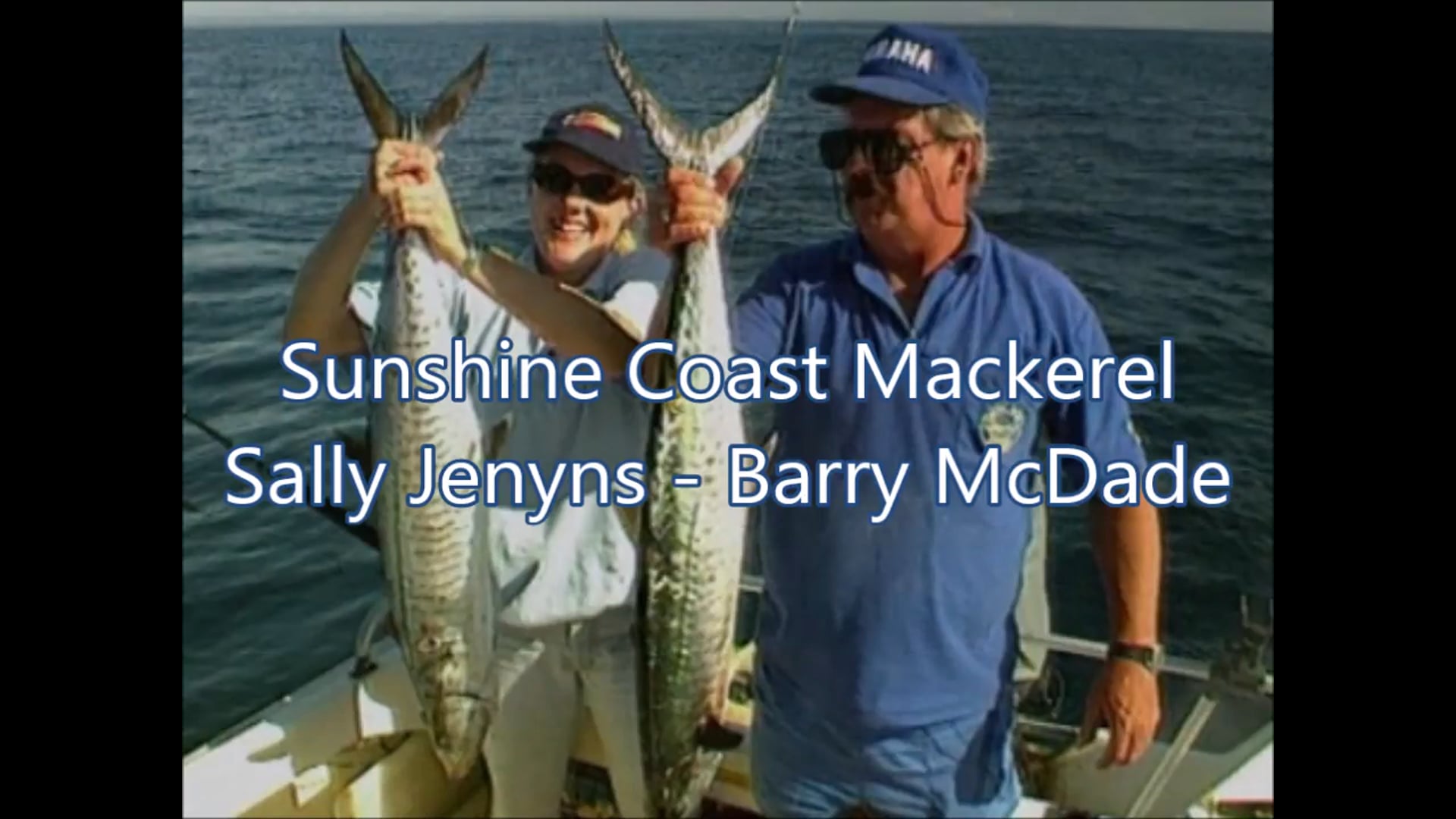 Sunshine Coast Mackerel