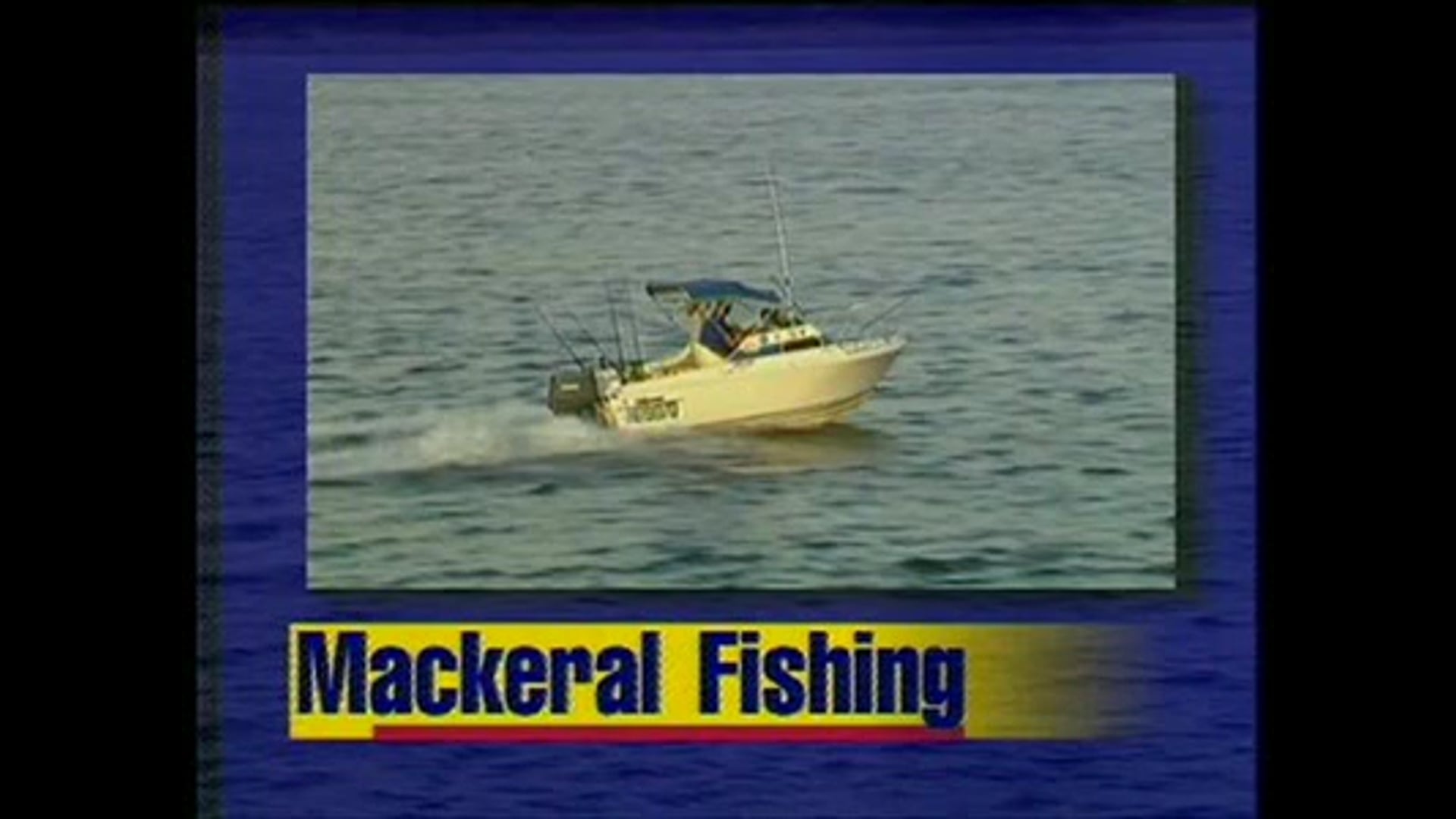 Sunshine Coast spanish mackerel
