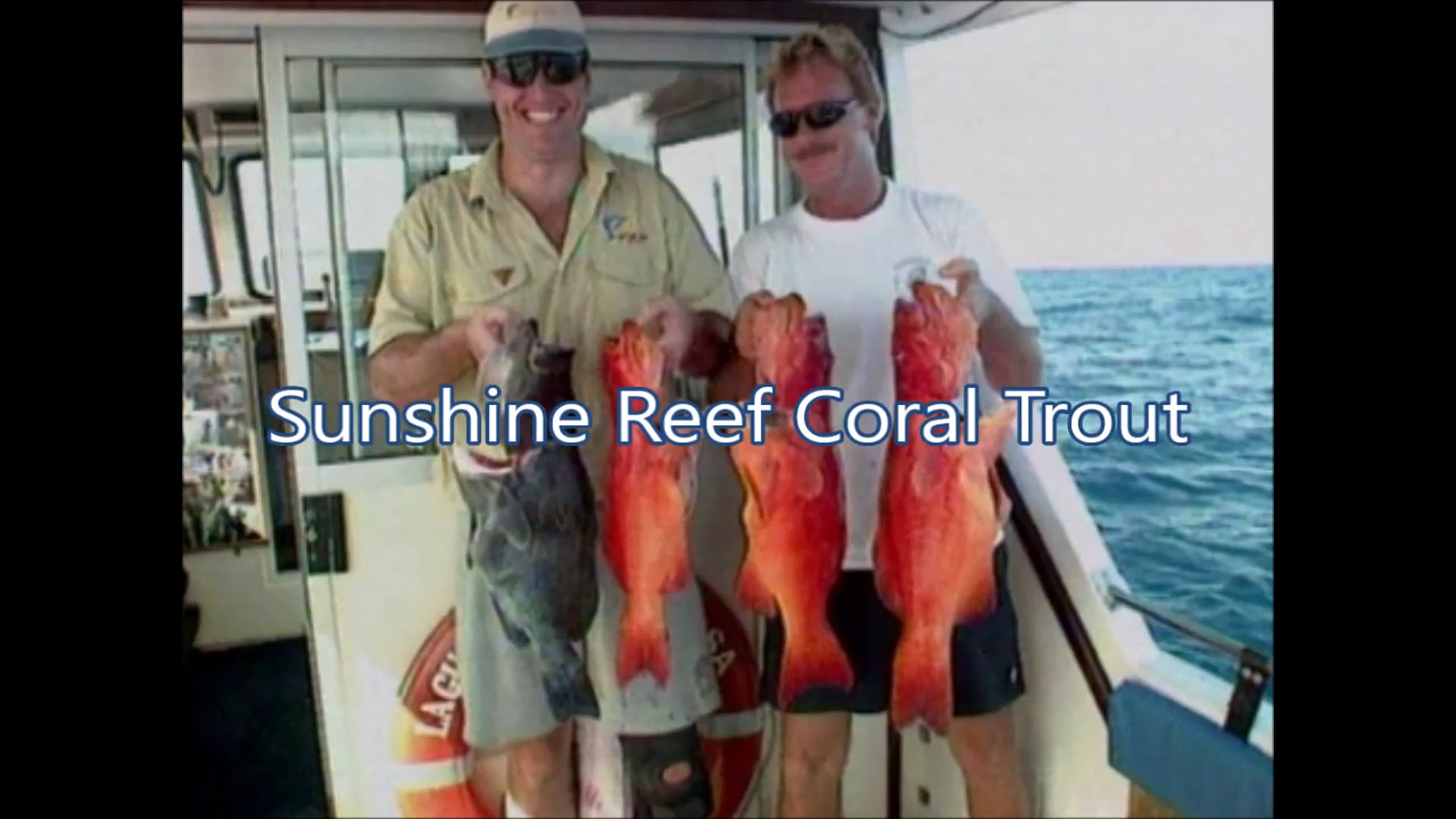 Sunshine Reef Coral Trout