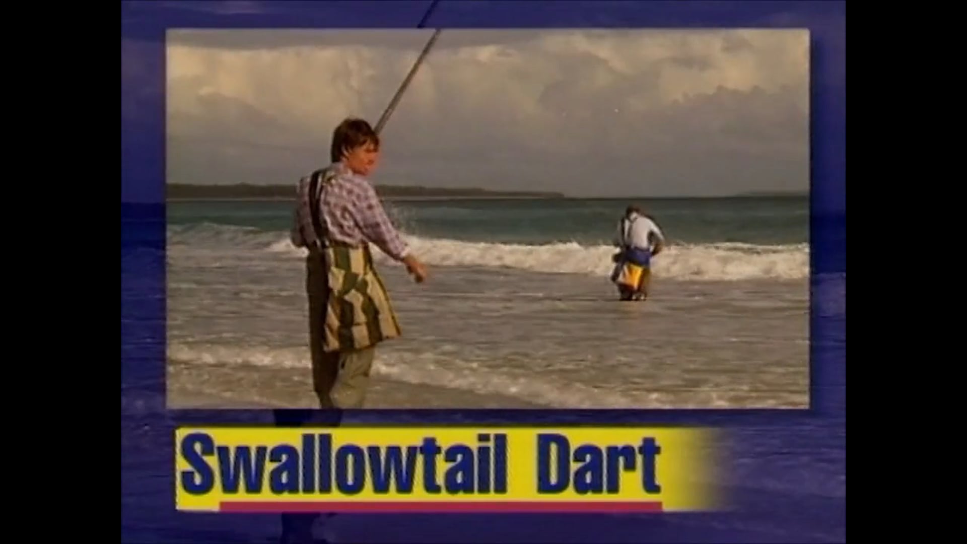 Swallowtail Dart Research – Daryl McPhee – March 1995