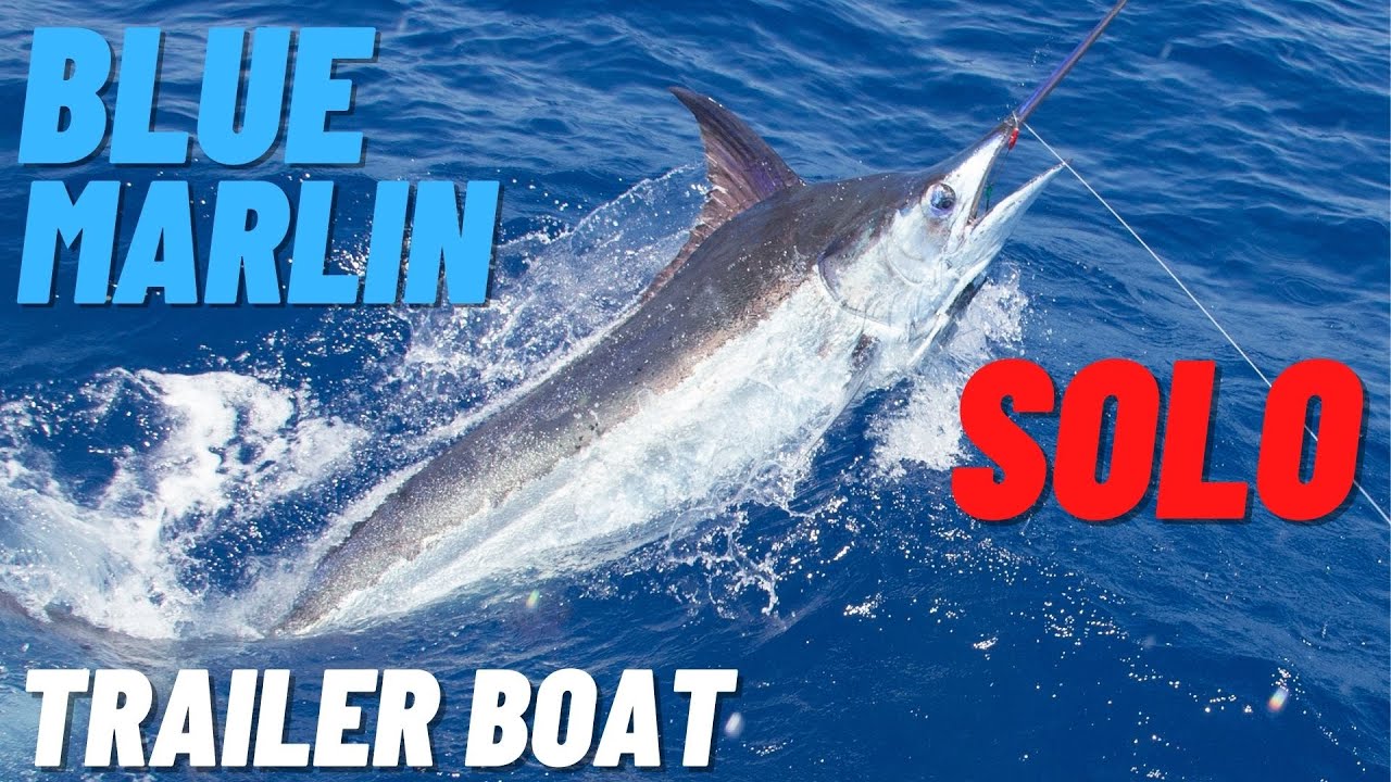 BLUE MARLIN – SOLO!
