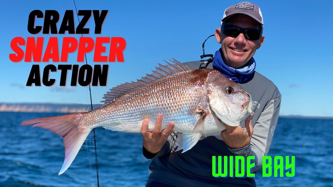 Crazy Snapper Action on Lures