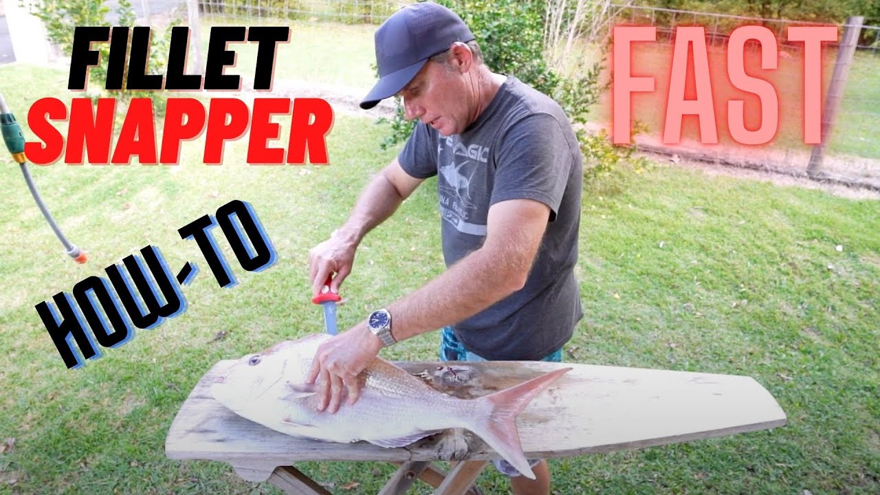 Filleting Snapper