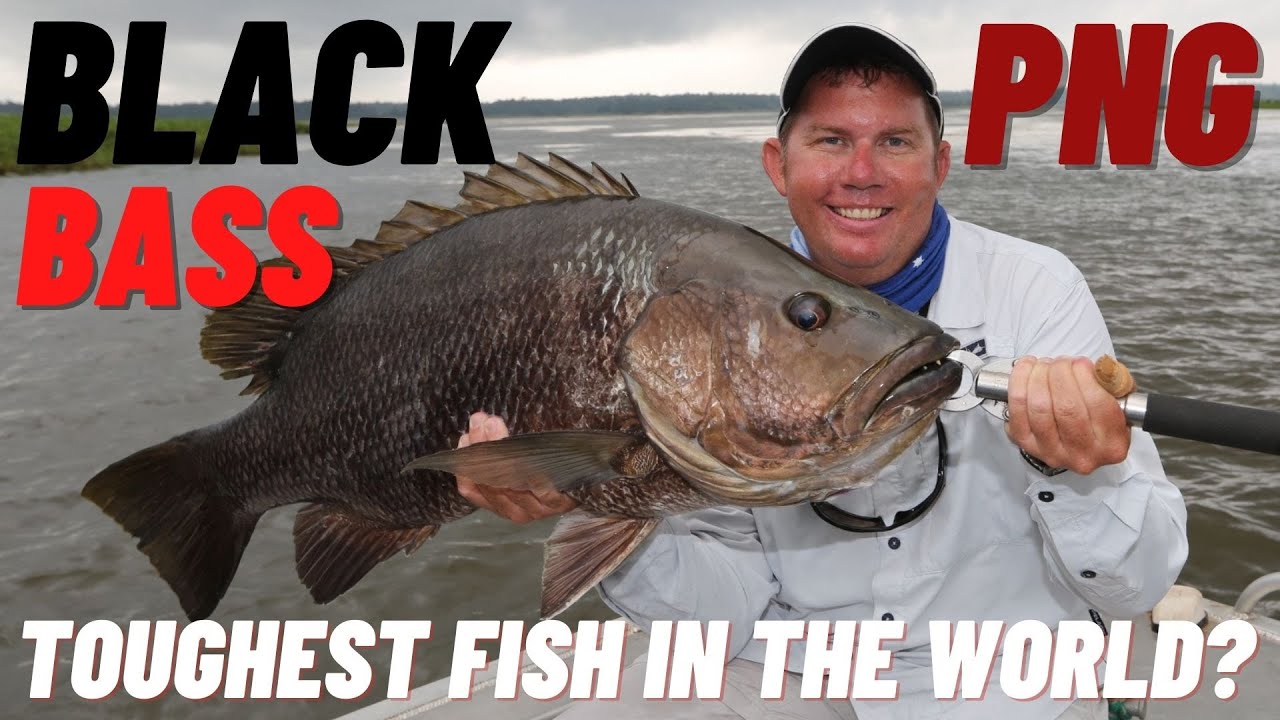 TOUGHEST FISH IN THE WORLD?