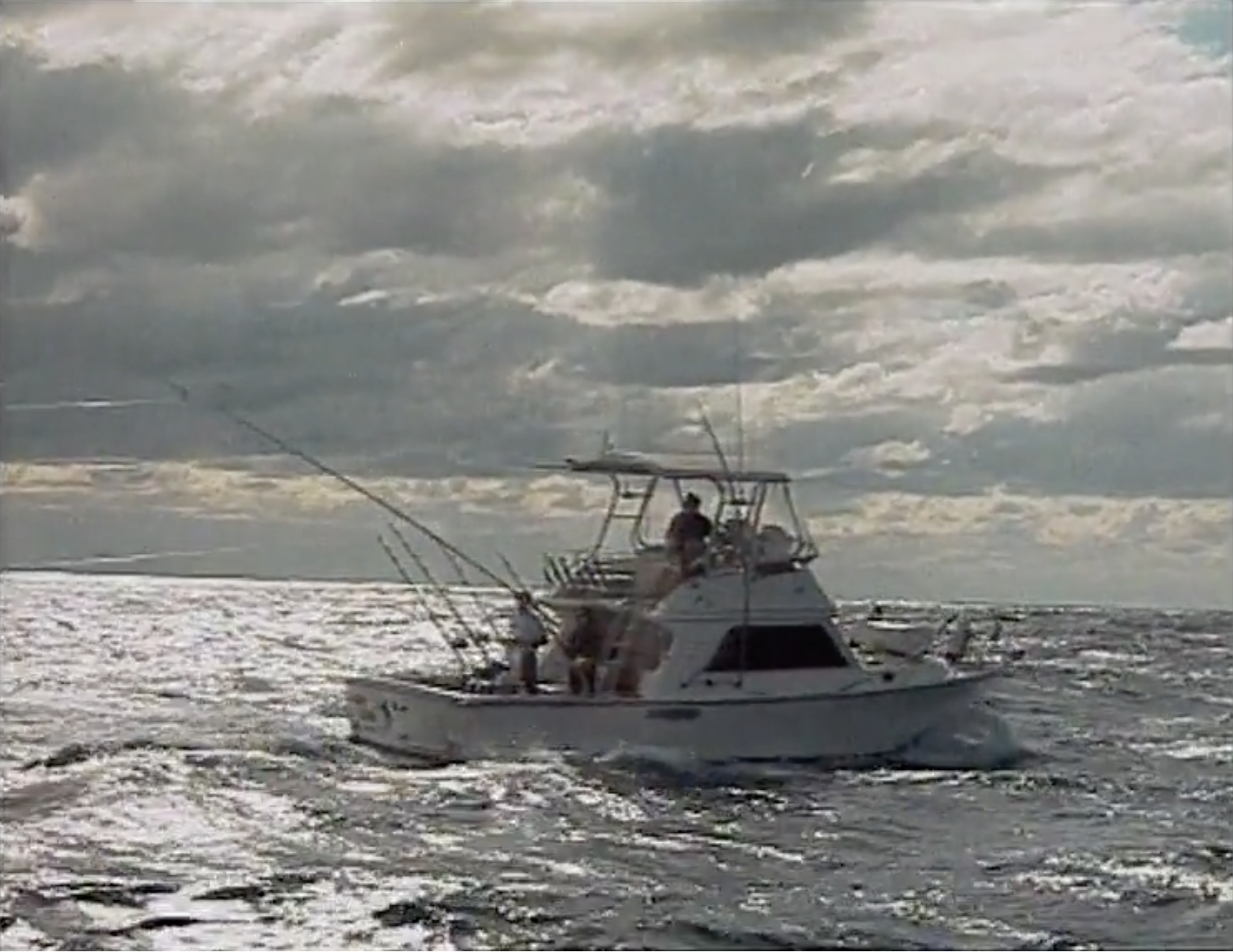 Boats | Celica Gamefishing Comp – 10th Annual Sanctuary Cove Boat Show