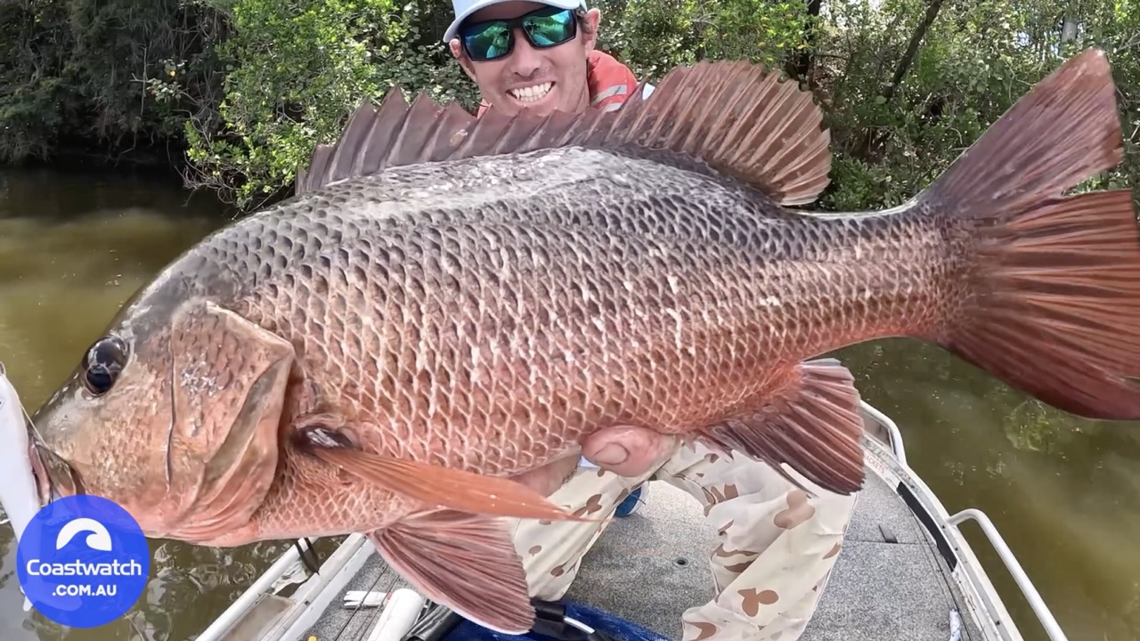John Costello on Mangrove Jack